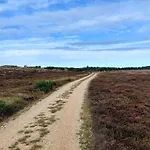 5 Star Holiday Home In Norre Nebel *