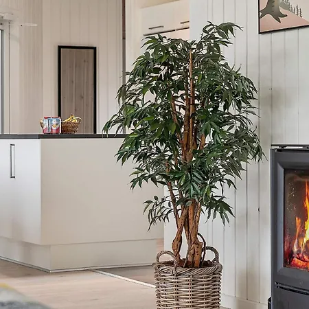 18 Person In Hébergement de vacances